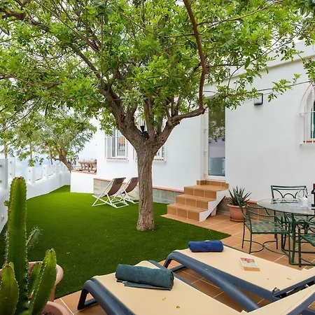 Julia Tenerife Costa Adeje (Tenerife)