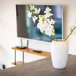 Julia Tenerife Апартаменти